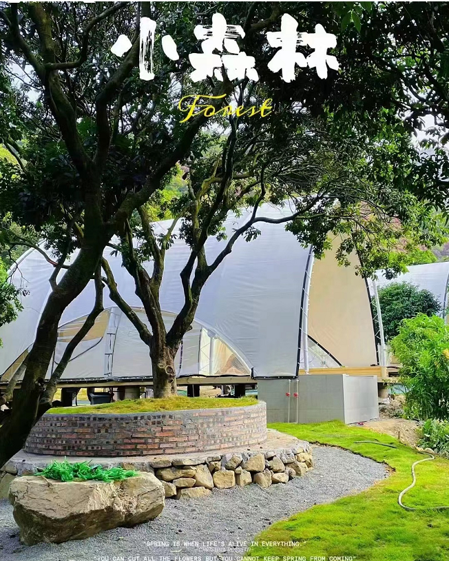 2025 new design sailboat shape glamping tents